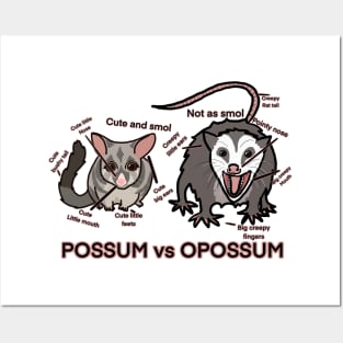 Possum vs Opossum Posters and Art